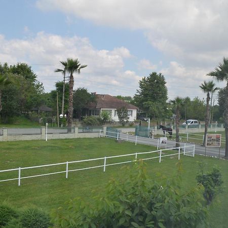 Serbesler Botanik, No 1 Comfortable Villa Sakarya  Dış mekan fotoğraf