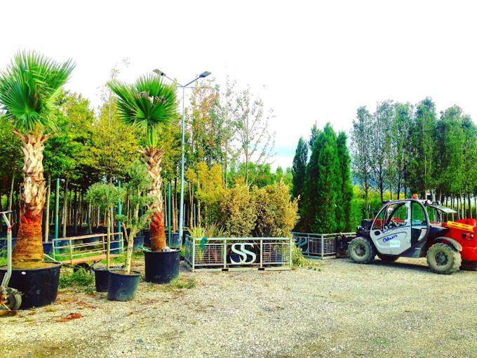 Serbesler Botanik, No 1 Comfortable Villa Sakarya  Dış mekan fotoğraf